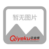 美國Raytek雷泰MT系列紅外測溫儀 MT4U